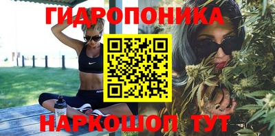 гидропоника Ставрополь