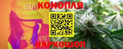 гидропоника Ставрополь
