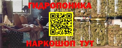 PSILOCYBIN Старая Купавна